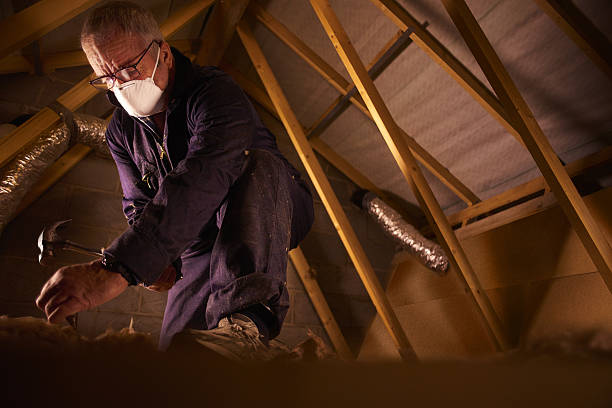 Best Energy Efficiency Insulation in East Missoula, MT
