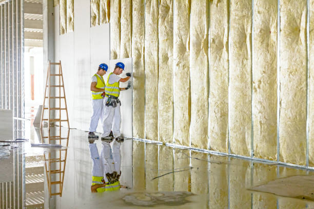 Best Specialized Insulation Services in East Missoula, MT